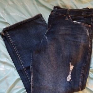 NwOt Torrid distressed flared leg jeans
